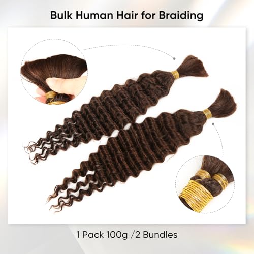Human Braiding Hair 24 Inch 100g Chocolate Brown Deep Wave Bulk Human Hair for Braiding No Weft Curly Bundles Human Hair Extensions for Boho Knotless Braids Wet and Wavy Braiding Hair (#4)