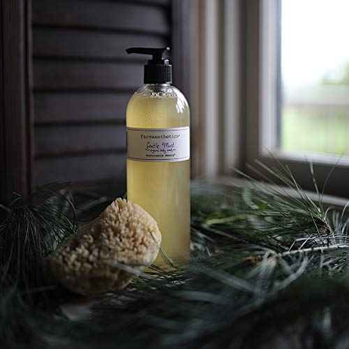 Farmaesthetics Gentle Mint Organic Body Wash (16 fl oz) | Ethically Sourced Sustainable Beauty | Clean, All Natural, Small Batch Skincare