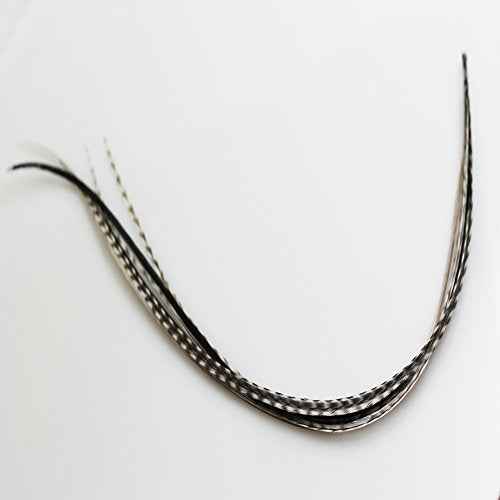 Feather Hair Extension ? Salt & Pepper Remix, Grey, Black, and White Feathers, All Bonded Together at the Tip, Ranging From 7 to 10 Inches in Length, With a Total of 7 Feathers