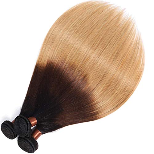 Brazilian Virgin Ombre Hair Silky Straight Hair Weave One Bundle Unprocessed Virgin Human Hair Extensions T1B/4/27 Mixed Length (28)