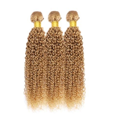 Color #27 Honey Blonde Curly Human Hair Bundles Brazilian Virgin Remy Hair Extensions Double Weft Color 27 Bundles Human Hair Honey Blonde Curly Wave 20 22 24 Inch