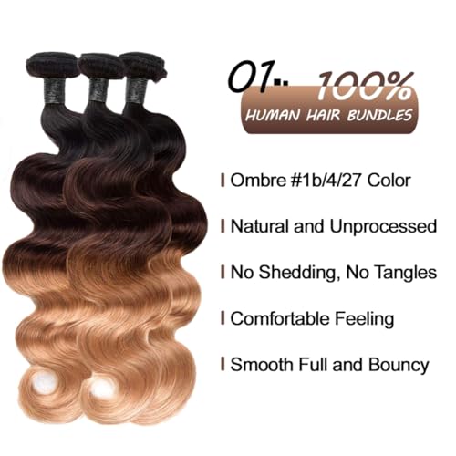 12A Ombre Human Hair Bundles T1b/4/27 Body Wave Bundles 100% Brazilian Virgin Human Hair 3 Tone Ombre Black Brown Blonde Quick Weave Bundle Deal for Women 14 16 18 Inch Thick and Full Hair Extensions