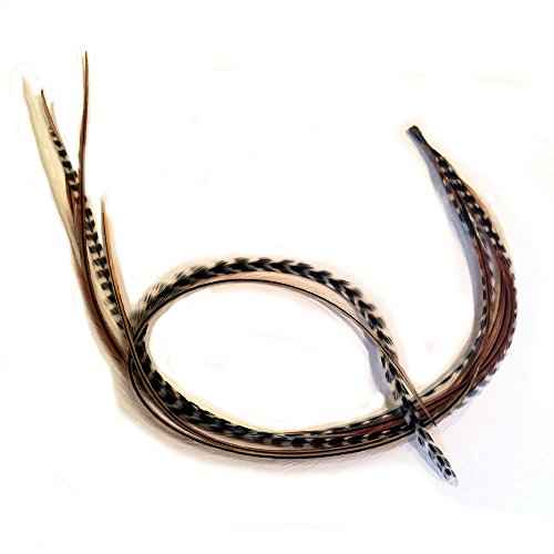Feather Hair Extension ? Rainbow Remix, Five Genuine Rooster Feathers, All Bonded Together at the Tip, Includes 2 Silicone Micro Beads, Ranging From 6 to 12 Inches in Length