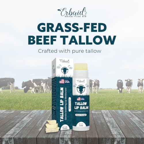 Beef Tallow Lip Balm ? Natural Tallow Beeswax Chapstick ? Hydrating Moisturizer Grass Fed Tallow Balm Lip Care ? Soothes Chapped, Dry Lips, Sensitive Skin ? Long Lasting Vitamin Rich USA-Made Orange