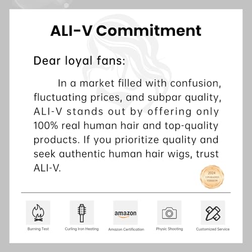 200% Density Silver Grey Lace Front Wigs Human Hair For Women No Mixed Fiber Double Drawn Straight Virgin Hair Wig 13x4 UHD Lace Frontal Wig Brazilian Hair 18 Inches