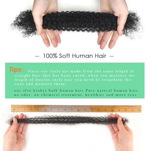 Afro Kinkys Bulk Human Hair 20 Inch for Dreadlocks Extensions Repair Locs Twist Braiding 100% Ombre Highlight Human Hair for Locs 50g/pack