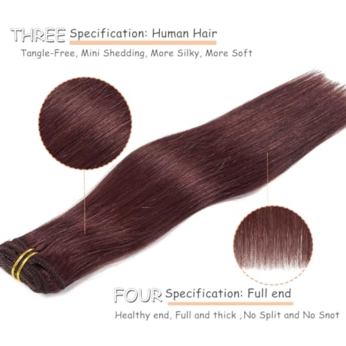 Caliee Hair Extenisons Clip in Human Hair Double Lace Weft Color Wine Red 7 Pcs 120 G Silky Straight Thick Remy Seamless Hair Extensions Clip in Human Hair 18 Inch