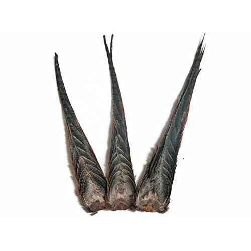 Moonlight Feather | 1 Tail - Natural Brown Complete Ringneck Pheasant Feather Tail Clump Halloween Fly Tying