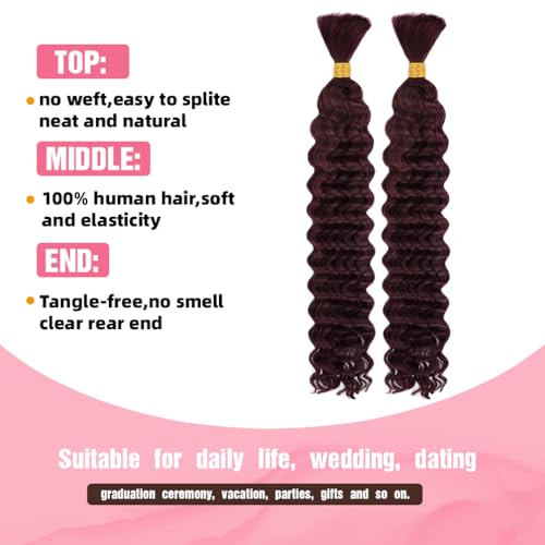 Human Braiding Hair, 2 Bundle 100g 20 Inch Boho Braids Human Hair 10A Deep Wave Bulk Brazilian Virgin No Weft Wavy Hair Extension for Boho Knotless Bohemian Micro Braid Bulk for Braiding 99J