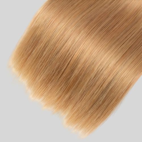 Honey Blonde Bundle Human Hair Straight Brazilian Virgin Honey Blonde 3 Bundle Human Hair 20 22 24 Inch Blonde Virgin Double Weft Hair Extension Color 27