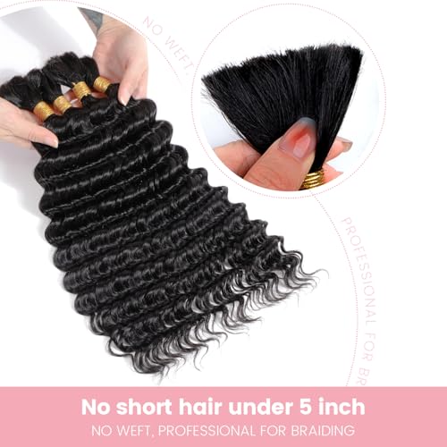 Urbeauty Human Braiding Hair, Deep Wave Bulk Human Hair for Braiding, Curly Human Hair for Boho Braids, Knotless/Goddess/Micro/Bohemian/Gypsy/No Weft/Curly/100% Unprocessed Virgin Human Hair 20 Inch