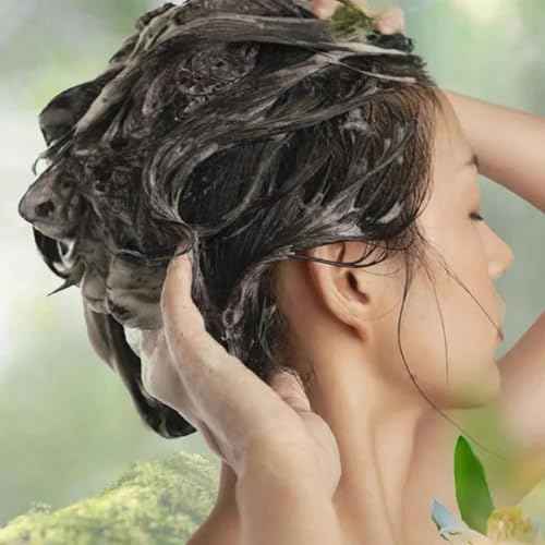 Nourishing Plant-Based Hair Color - Long Lasting Plant Based Hair Dye Natural Hair Color Shampoo for Gray Coverage, Gray Hair Shampoo Natural Plant Hair Dye, Pure Plant Extract (Natural Black)