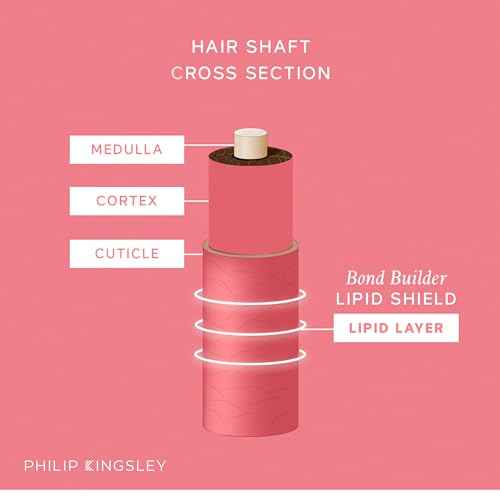 PHILIP KINGSLEY | Bond Builder Lipid Shield | Restorative Hair Oil Treatment for Dry and Damaged Hair | Heat Protectant Hair Moisturizer that Replenishes Dry and Damaged Hair | 1.01oz