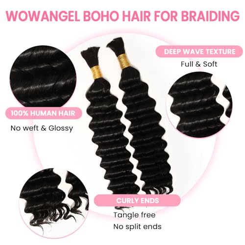 WOWANGEL Human Braiding Hair For Boho Braids 100g,100% Unprocessed Brazilian Virgin Hair, 12A Deep Wave Knotless Bohemian Bundles, Curly Hair Extensions,2 Bundles,Natural Black(1B),24 Inch