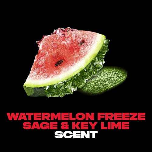 AXE Fine Fragrance Body Spray Variety Pack 4 Pack Touch of Sweetness - Cherry Spritz, Pure Coconut, Black Vanilla, Watermelon Freeze Aluminum Free 4 oz