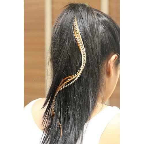 Feather Hair Extension ? Rainbow Remix, Five Genuine Rooster Feathers, All Bonded Together at the Tip, Includes 2 Silicone Micro Beads, Ranging From 6 to 12 Inches in Length