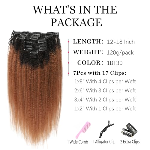 Kinky Straight Ombre Clip in Hair Extensions Real Human Hair Natural Black to Medium Auburn Kinky Straight Clip ins for Black Women Double Weft Hair Extensions 7Pcs 120g 18 Inch 1BT30