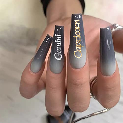 Zodiac Nail Charms, 3D Zodiac Nail Charms for Acrylic Nails, Alloy Twelve Constellation Zodiac Virgo Leo Aries Taurus Gemini Capricorn Charms for DIY Nail Art (D-96pcs)