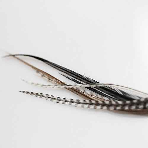 Feather Hair Extension ? Salt & Pepper Remix, Grey, Black, and White Feathers, All Bonded Together at the Tip, Ranging From 7 to 10 Inches in Length, With a Total of 7 Feathers