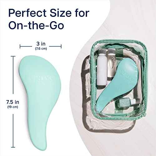 Crave Naturals Glide Thru Detangling Hairbrush That Glides Through Tangles for Wet, Dry and Damaged Hair - Gentle Detangler Styling Tool for Adults, Kids, Men and Women - 7.5 x 3 in, Turquoise