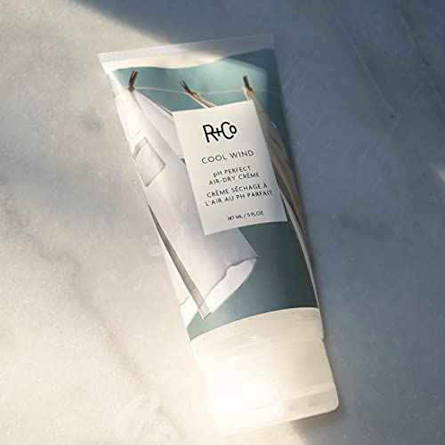 R+Co Cool Wind pH Perfect Air Dry Hair Cream | Hydrates + Tames + Softens | Vegan + Cruelty-Free |