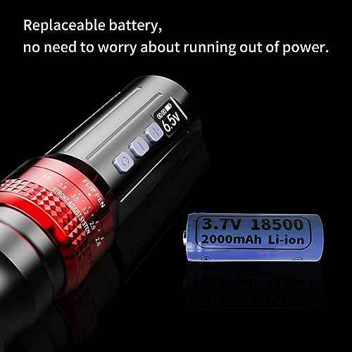 BIGWASP Z1 Wireless Rotary Tattoo Cartridge Machine Pen 2,000mAh Battery Power Tattoo Gun Coreless Swiss Motor with Adjustable 6 Strokes 2.6mm ~ 4.0mm for Professional Tattoo Supply & Artists (Grey)