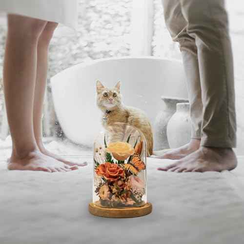Eternal Flowers with Butterfly: Big Is Love Series-Elegant Preserved Flowers in Glass Dome-Valentines, Anniversary, Mom Gifts for Her-Flowers for Delivery Prime-Flower Arrangements (Orange)