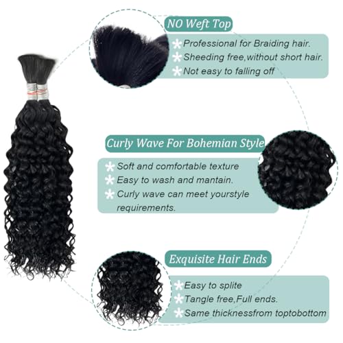 Curly Wave Bulk Human Hair For Braiding No Weft Unprocessed Brazilian Virgin Human Hair Extensions Wet And Wavy Micro Braiding Hair Human Hair Bundles For Boho Braids Natural Color(26inch 2pack/100g)