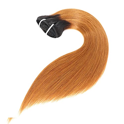 Ombre Clip in Hair Extensions Straight Human Hair 140g 100% Human Hair 8Pcs Total of 18 Clips #1B/30 Brown Hair Extensions for Black Women Hair (22 Inch, 1B/30 Brown£©