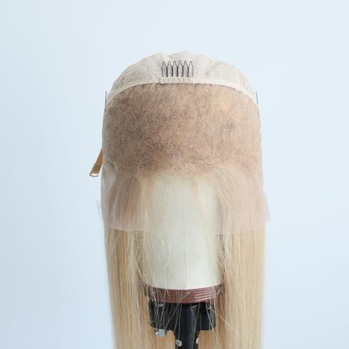 Pre-plucked #27 Honey Blonde 13X4 Lace Front Wigs Straight Glueless 150% Density Brazilian Virgin Human Hair (27 Frontal Wig, 10 INCH)
