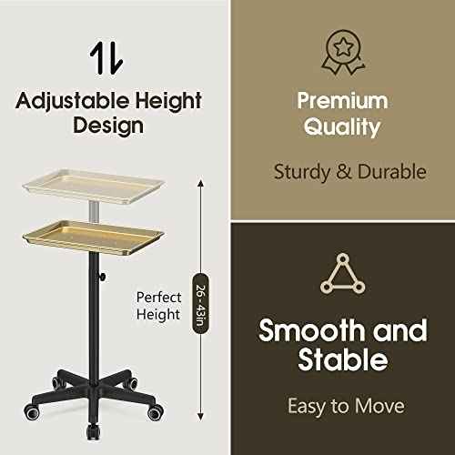 Salon Tray Tattoo Tray Salon Cart for Hair Stylist Salon Trolley Cart with Wheels Salon Rolling Tray Salon Stations Gold Color Tray