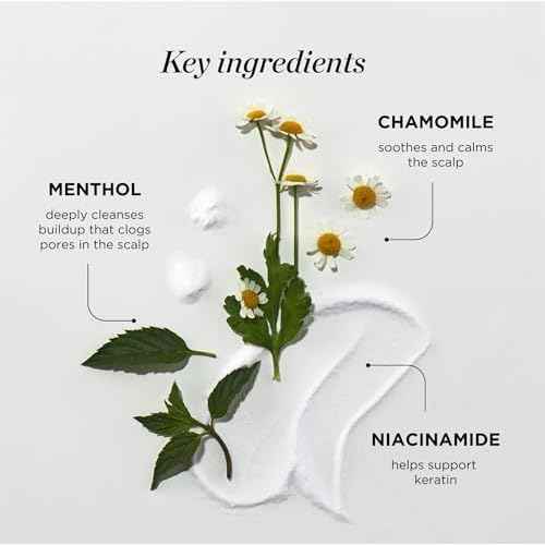 Dr. Groot Scalp Relief Tonic, Korean Hair Care with Chamomile, Niacinamide, Menthol, Rosemary Oil, Moisturizing Biotin Spray, Antioxidant Formula, for Dry Scalp, Kbeauty Scalp Revitalizing Solution