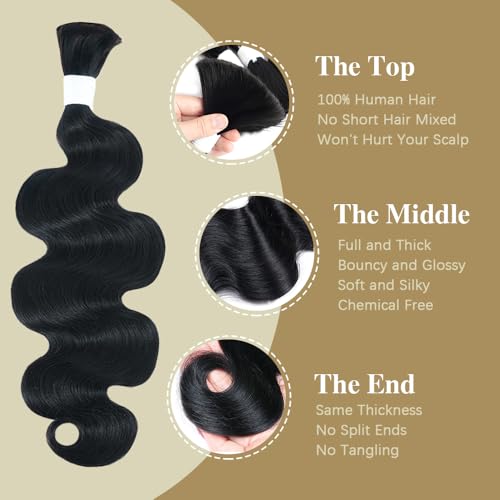 Body Wave Bulk Human Hair For Braiding No Weft Boho Braids Human Hair Brading Hair Extensions 100g One Bundle Wet and Wavy Human Braiding Hair For Boho Braids Natural Black(24inch, Natural Black)