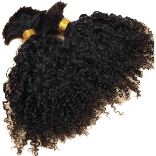 Afro Kinky Bulk Human Braiding Hair 100% Unprocessed Brazilian Virgin Human Hair Extensions Micro Kinky Curly Braids Hair Braids Double Drown Full End Bulk Hair 14 Inch 100g (Pack of 1)