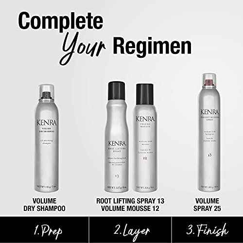 Volume Dry Shampoo | Oil Absorbing Shampoo | Translucent, Volume-Enhancing Spray | Instantly Refreshes Hair At The Root | Absorbs Oils & Impurities | All Hair Types