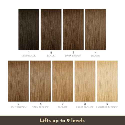 Hair Bleach, Bleach Powder for Hair, Professional Grade Blue Bleaching Powder, Up to 9 Levels of Lift for Hair Highlights & Lightening (100g/3.53oz)