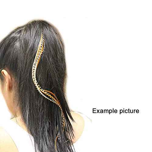 Feather Hair Extensions ? 100% Real Rooster Feathers, 20 Natural Color Feathers, Ranging from 8 to 11 Inches, Includes 20 Micro Beads and Loop Tool Kit