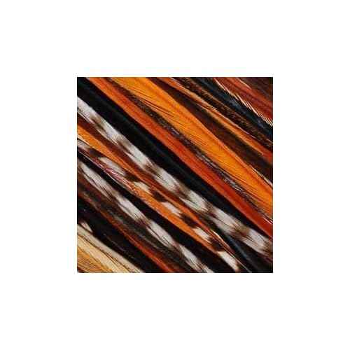 Feather Hair Extension ? Rainbow Remix, Five Genuine Rooster Feathers, All Bonded Together at the Tip, Includes 2 Silicone Micro Beads, Ranging From 6 to 12 Inches in Length