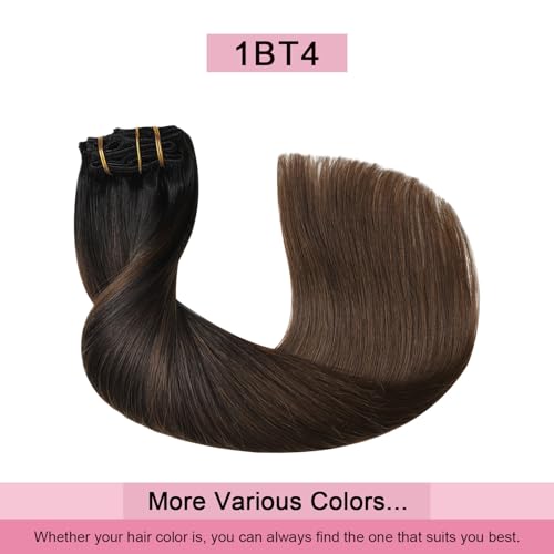 Pro2.0 Clip in Hair Extensions Real Human Hair 120g Thick 7pcs Color #1BT4 Natural Black Fading to Middle Brown Remy Real Human Hair Extensions Clip ins 14inch Double Weft£¨#1BT4-14inch£©