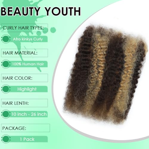 Afro Kinkys Bulk Human Hair 20 Inch for Dreadlocks Extensions Repair Locs Twist Braiding 100% Ombre Highlight Human Hair for Locs 50g/pack