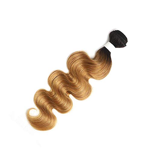 X-TRESS Ombre Blonde Bundles - 22 inch Body Wave Brazilian Hair Weave - 100% Human Hair Extensions - 27 Inch, T1B/27