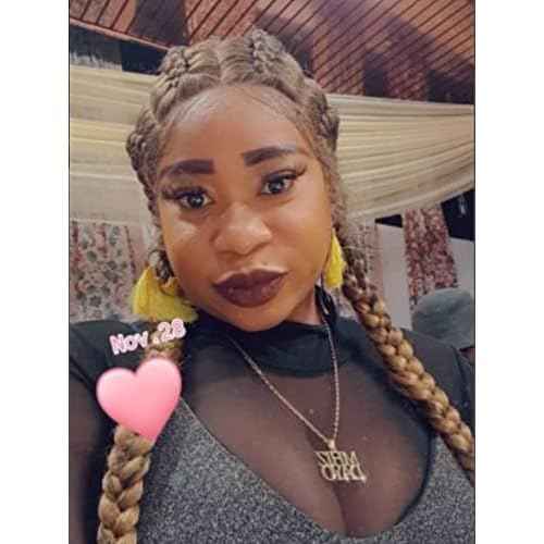 4 Twist Lace Front Braid Wig Nature Looking with Baby Hair Synthetic Wigs Hand Tied Heat Resistant Fiber 4 Braided Daily Wear Wigs for Women 30 Inches (Brown)