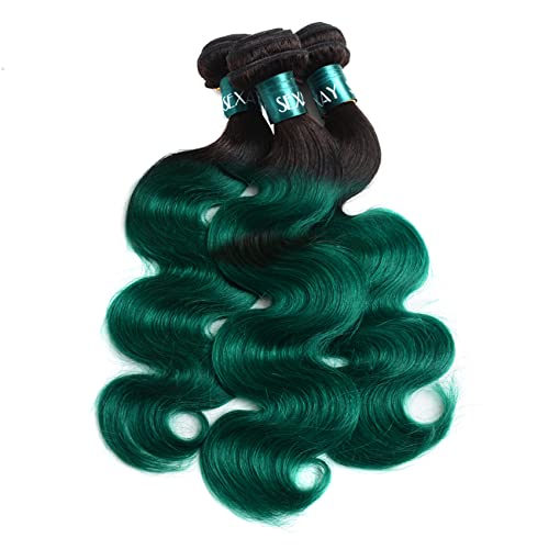 SEXAYHAIR Green Human Hair Brazilian Ombre Body Wave Bundles 1bGreen Virgin Hair 3 Bundles T1b/Green Color Human Hair Bundles Extensions for Women (12 14 16)
