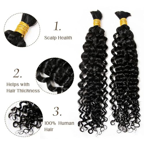 Bulk Hair Double Drawn Human Bundles Spanish Curly Extensions For Boho Knotless Braiding No Weft Water Wave Full End Burmese Bulk Hair Boho Braids for Women 20inch 1Bundle 100g