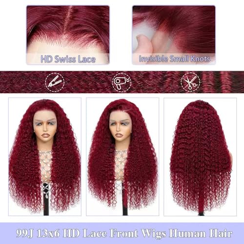Burgundy Wig Human Hair 13x6 Deep Wave Lace Front Wigs Human Hair 200 Density 99j Burgundy HD Lace Front Wigs Pre Plucked Red Colored Glueless Wig for Women 18 Inch