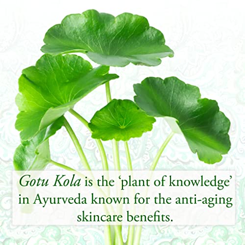 SUNDARI Gotu Kola & Yucca Facial Serum, 0.5 Fl Oz, Intense Firming & Hydrating Formula, Lifts Tired Skin, Boosts Firmness & Improves Hydration