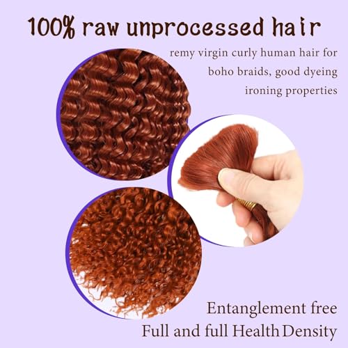 350 Human Hair for Boho Braids 26 Inch Boho Hair for Braiding 2 Bundles 110g 12A Ginger Curly Boho Braids for Human Hair Bulk (Ginger350, 26inch)