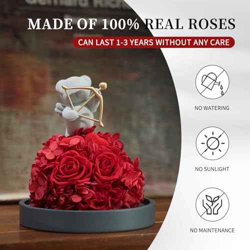 SEEROSE Preserved Rose with Cupid Bear in Glass Dome, Eternal Real Rose Romantic Gift for Her, Women, Mom, Wife, Girlfriend, Valentine¡¯s Day, Mother¡¯s Day, Christmas, Birthday (Cupid Bear, Red)