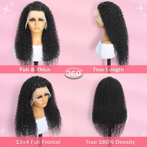 Water Wave HD Lace Front Wigs Human Hair 10A Curly Human Hair 13x4 Transparent Lace Frontal Wigs Pre Plucked Wet And Wavy Wigs Human Hair for Women 180% Density (20Inch, Natural Black)