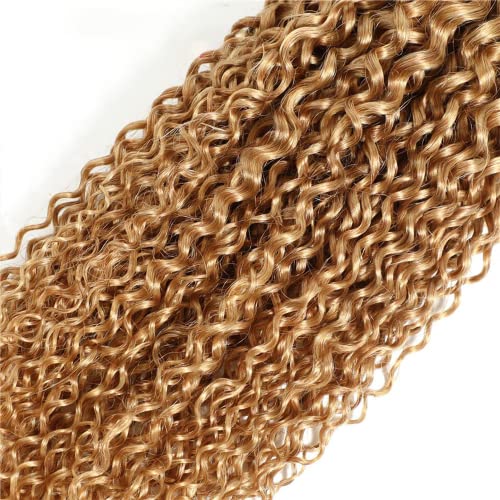 Color #27 Honey Blonde Curly Human Hair Bundles Brazilian Virgin Remy Hair Extensions Double Weft Color 27 Bundles Human Hair Honey Blonde Curly Wave 20 22 24 Inch
